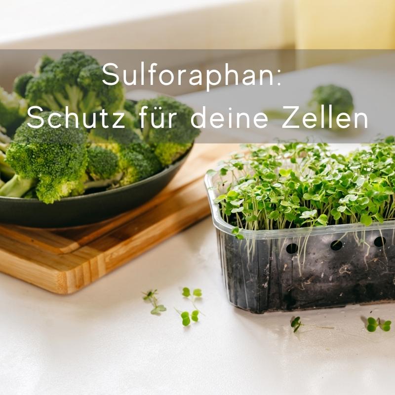 Sulforaphan – Wirkung, Lebensmittel, Anwendung und was du wirklich wissen solltest